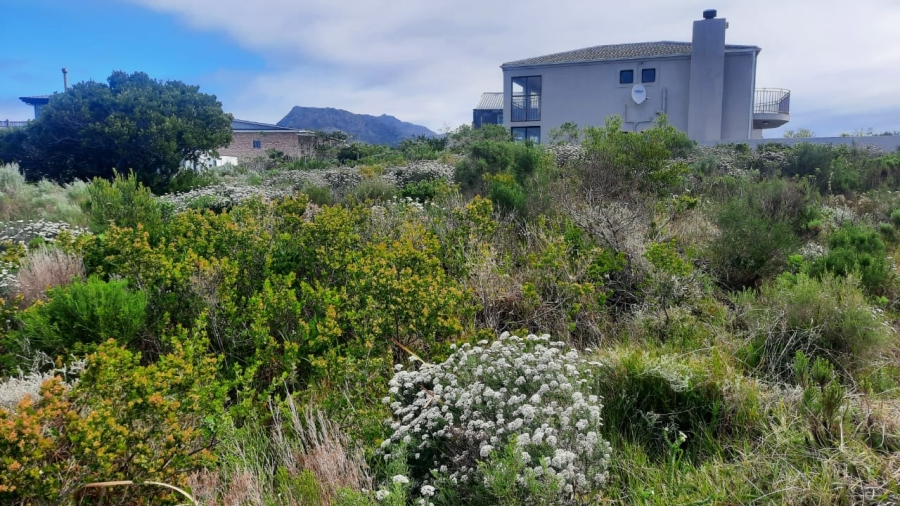 0 Bedroom Property for Sale in Bettys Bay Western Cape